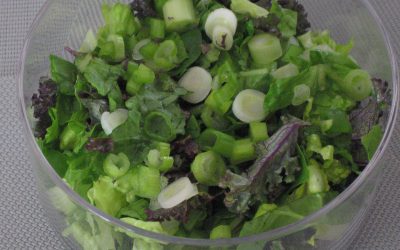 Best Salad Base Recipe