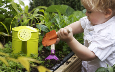 Benefits of Gardening